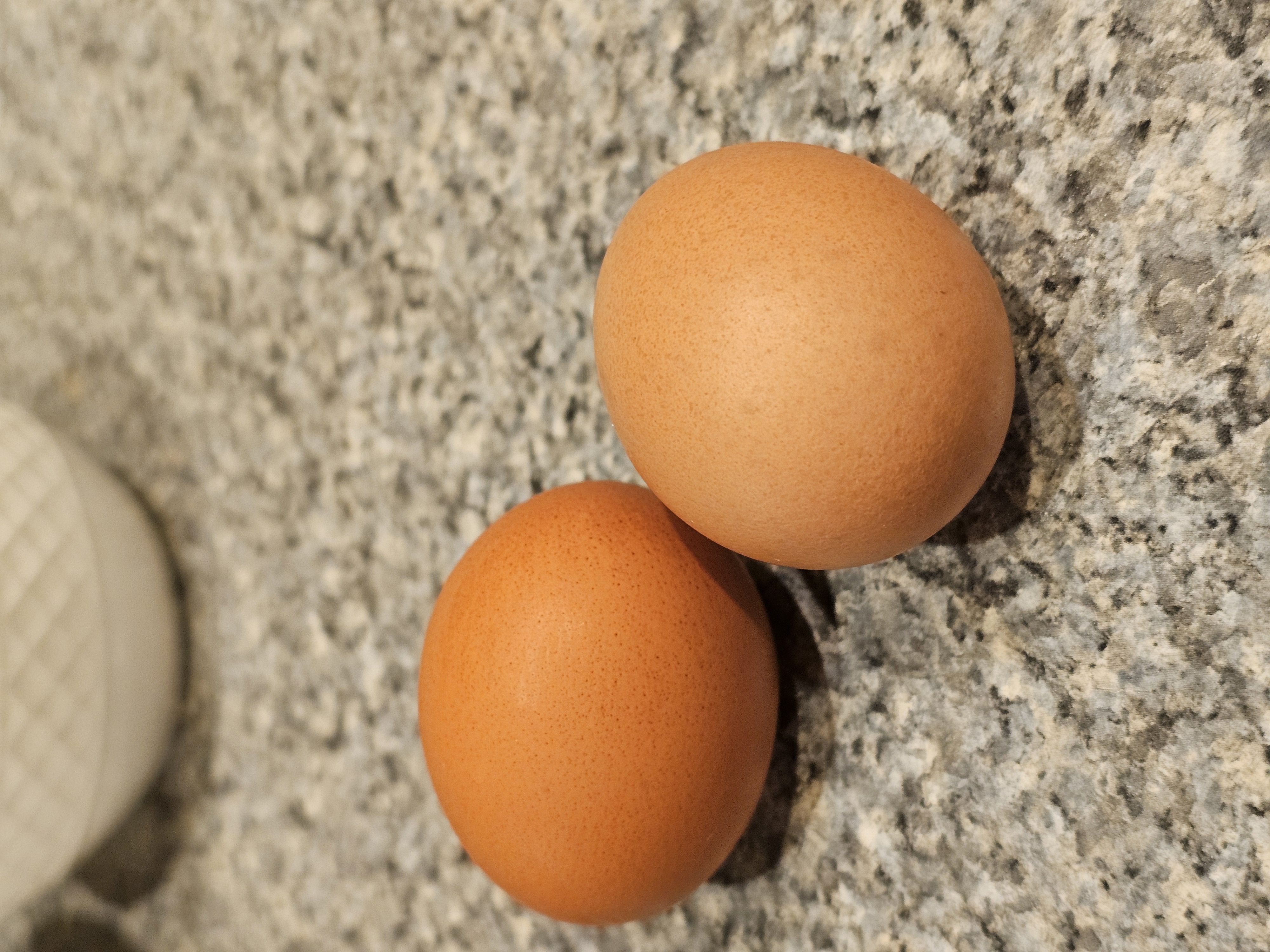 Eggs 